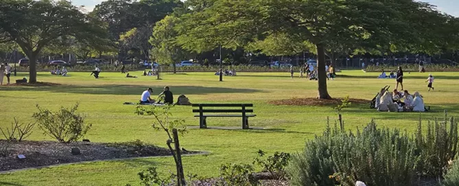 New Farm Park32 e1751352801613