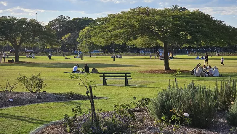 New Farm Park32 e1751352801613