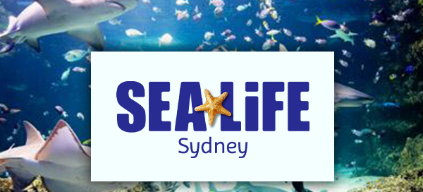 seal life syd 2 e1752709629715