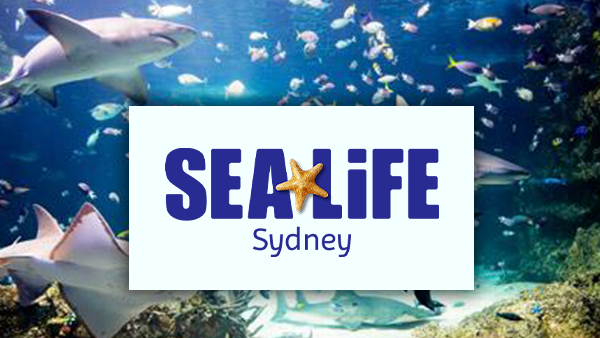 seal life syd 2 e1752709629715